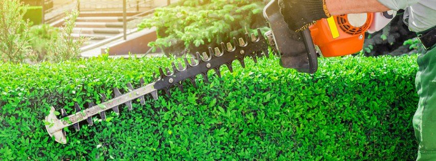 Itzel Ahoqui Lawn Service