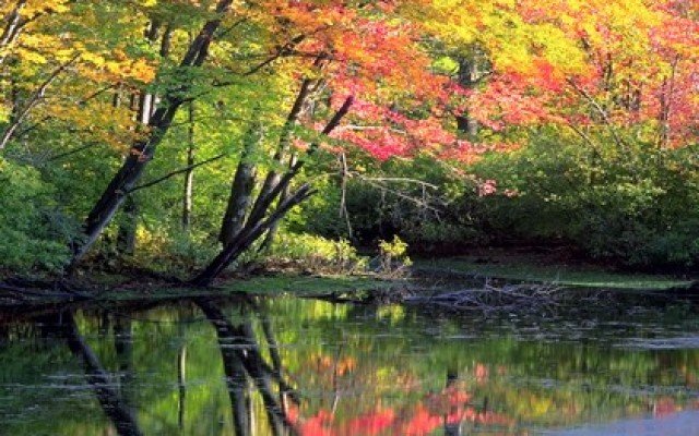 Outdoor Activities For Memorial Day